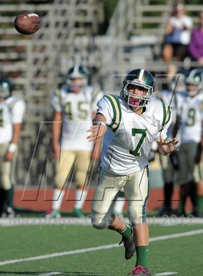 Thumbnail 1 in South Hills @ Damien photogallery.