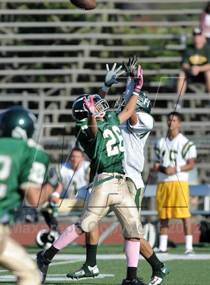 Thumbnail 1 in South Hills @ Damien photogallery.