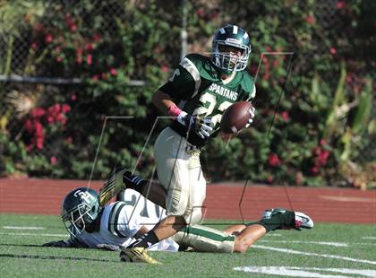 Thumbnail 3 in South Hills @ Damien photogallery.