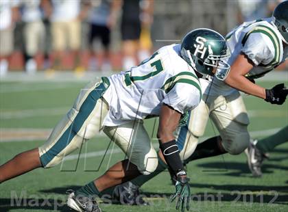 Thumbnail 1 in South Hills @ Damien photogallery.