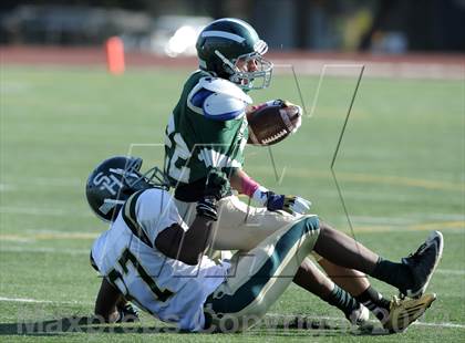 Thumbnail 2 in South Hills @ Damien photogallery.