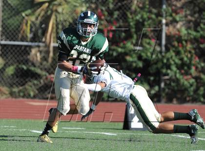 Thumbnail 2 in South Hills @ Damien photogallery.
