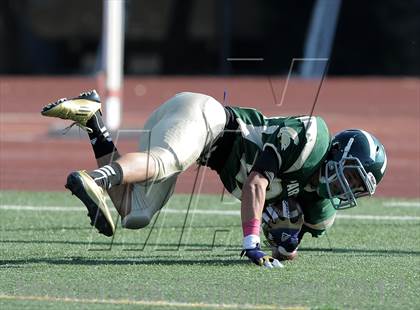 Thumbnail 3 in South Hills @ Damien photogallery.