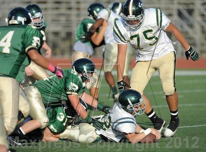 Thumbnail 1 in South Hills @ Damien photogallery.
