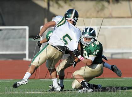 Thumbnail 3 in South Hills @ Damien photogallery.