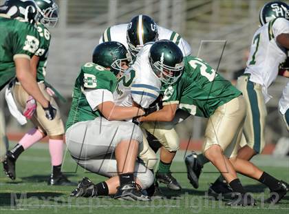 Thumbnail 2 in South Hills @ Damien photogallery.