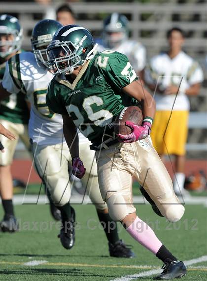 Thumbnail 2 in South Hills @ Damien photogallery.
