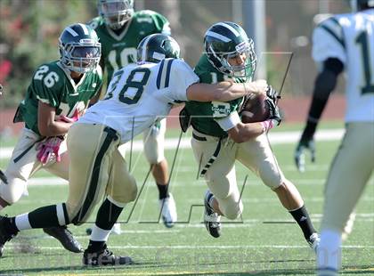Thumbnail 3 in South Hills @ Damien photogallery.
