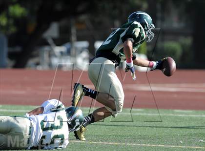 Thumbnail 3 in South Hills @ Damien photogallery.