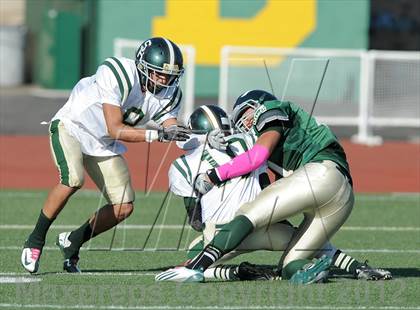 Thumbnail 2 in South Hills @ Damien photogallery.