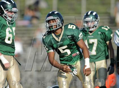 Thumbnail 1 in South Hills @ Damien photogallery.