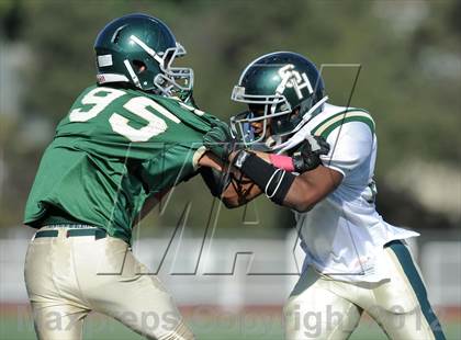 Thumbnail 1 in South Hills @ Damien photogallery.