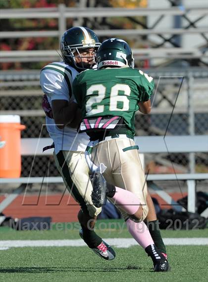 Thumbnail 2 in South Hills @ Damien photogallery.