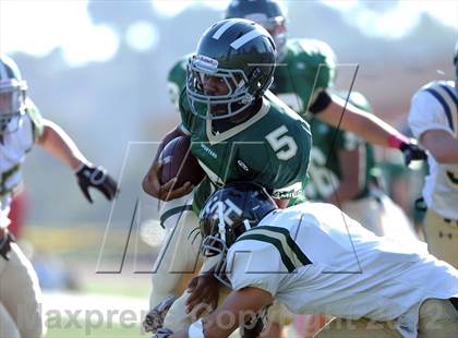 Thumbnail 2 in South Hills @ Damien photogallery.