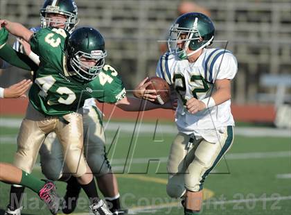 Thumbnail 2 in South Hills @ Damien photogallery.