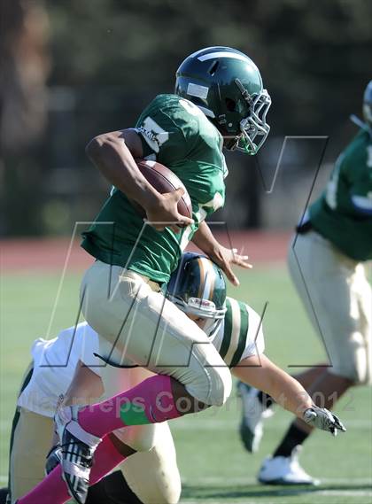 Thumbnail 2 in South Hills @ Damien photogallery.