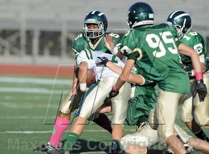 Thumbnail 2 in South Hills @ Damien photogallery.