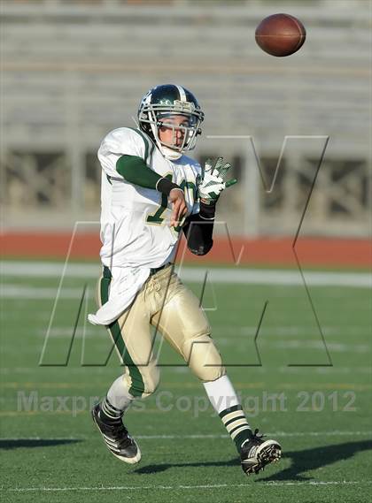 Thumbnail 3 in South Hills @ Damien photogallery.