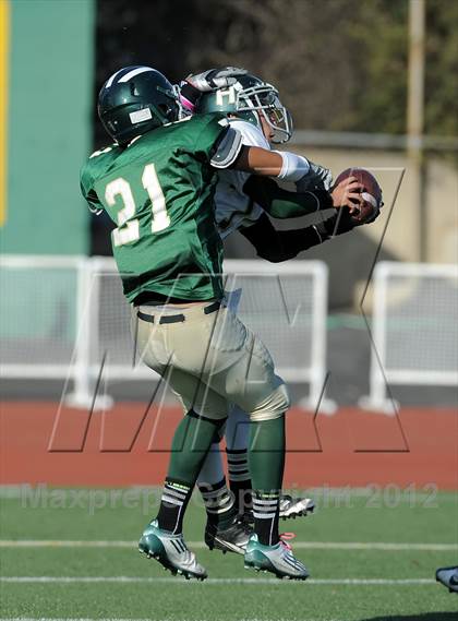 Thumbnail 1 in South Hills @ Damien photogallery.