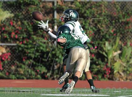 Thumbnail 1 in South Hills @ Damien photogallery.