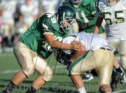 Thumbnail 2 in South Hills @ Damien photogallery.