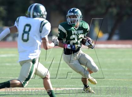 Thumbnail 2 in South Hills @ Damien photogallery.
