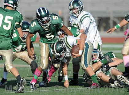 Thumbnail 3 in South Hills @ Damien photogallery.