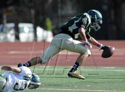 Thumbnail 1 in South Hills @ Damien photogallery.