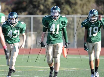 Thumbnail 1 in South Hills @ Damien photogallery.
