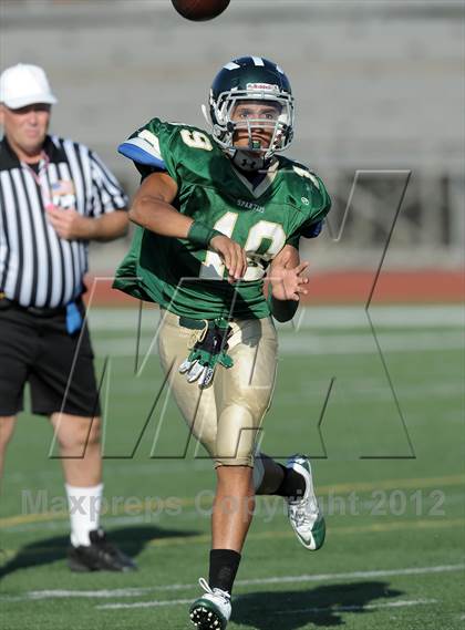 Thumbnail 1 in South Hills @ Damien photogallery.