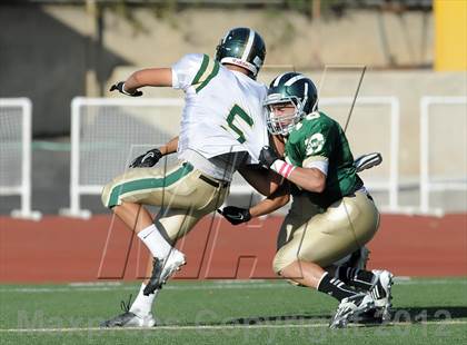 Thumbnail 2 in South Hills @ Damien photogallery.