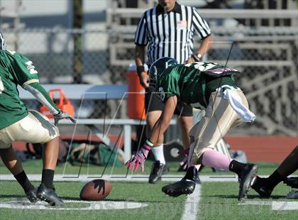 Thumbnail 1 in South Hills @ Damien photogallery.
