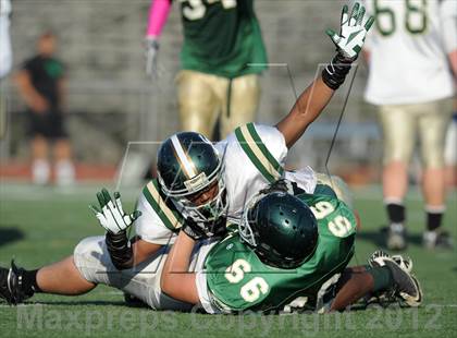 Thumbnail 1 in South Hills @ Damien photogallery.