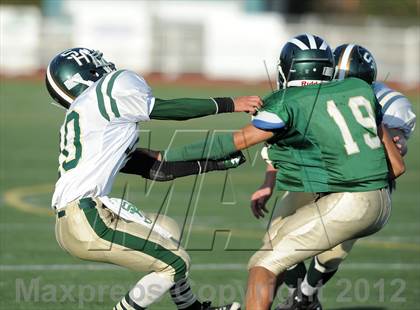 Thumbnail 1 in South Hills @ Damien photogallery.