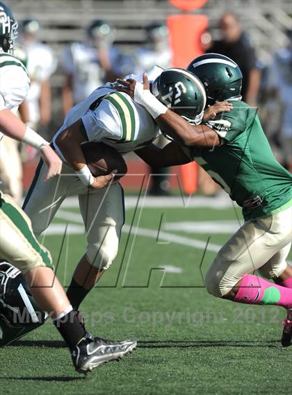 Thumbnail 1 in South Hills @ Damien photogallery.