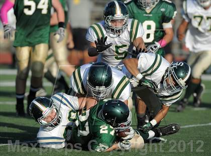 Thumbnail 2 in South Hills @ Damien photogallery.