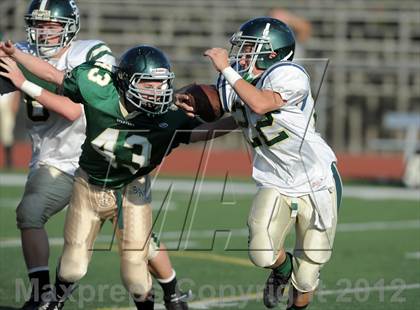 Thumbnail 3 in South Hills @ Damien photogallery.