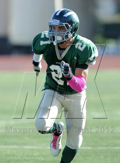 Thumbnail 3 in South Hills @ Damien photogallery.