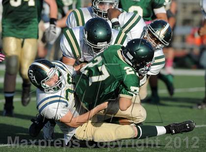 Thumbnail 1 in South Hills @ Damien photogallery.