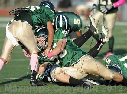 Thumbnail 1 in South Hills @ Damien photogallery.