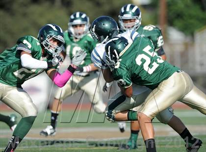 Thumbnail 2 in South Hills @ Damien photogallery.