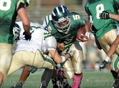 Thumbnail 1 in South Hills @ Damien photogallery.