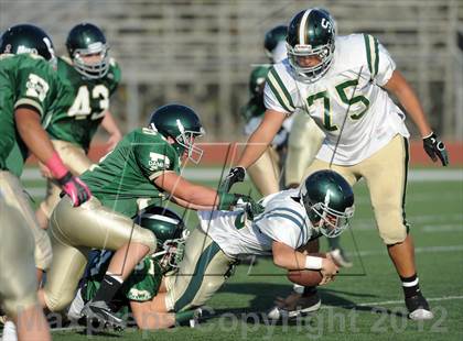 Thumbnail 3 in South Hills @ Damien photogallery.