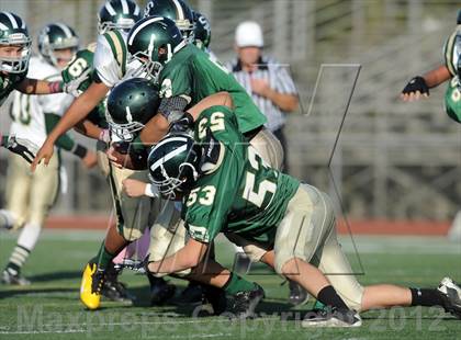 Thumbnail 1 in South Hills @ Damien photogallery.