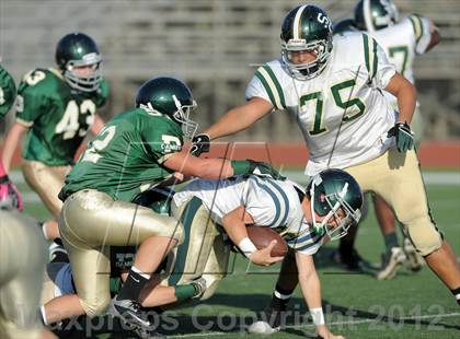 Thumbnail 2 in South Hills @ Damien photogallery.
