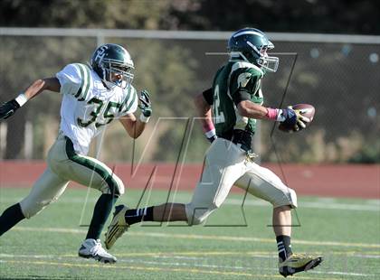 Thumbnail 2 in South Hills @ Damien photogallery.