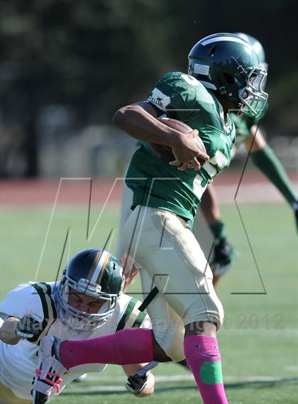 Thumbnail 3 in South Hills @ Damien photogallery.