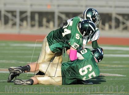 Thumbnail 1 in South Hills @ Damien photogallery.