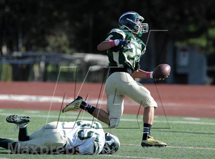 Thumbnail 2 in South Hills @ Damien photogallery.