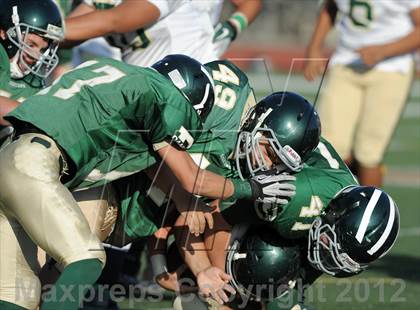 Thumbnail 1 in South Hills @ Damien photogallery.